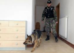 psovod pes policia bomba