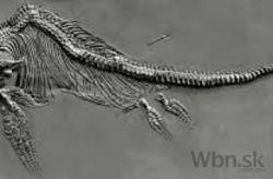 ichthyosaurus anningae