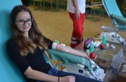 studentska kvapka krvi na gymnaziu trebisovska v kosiciach