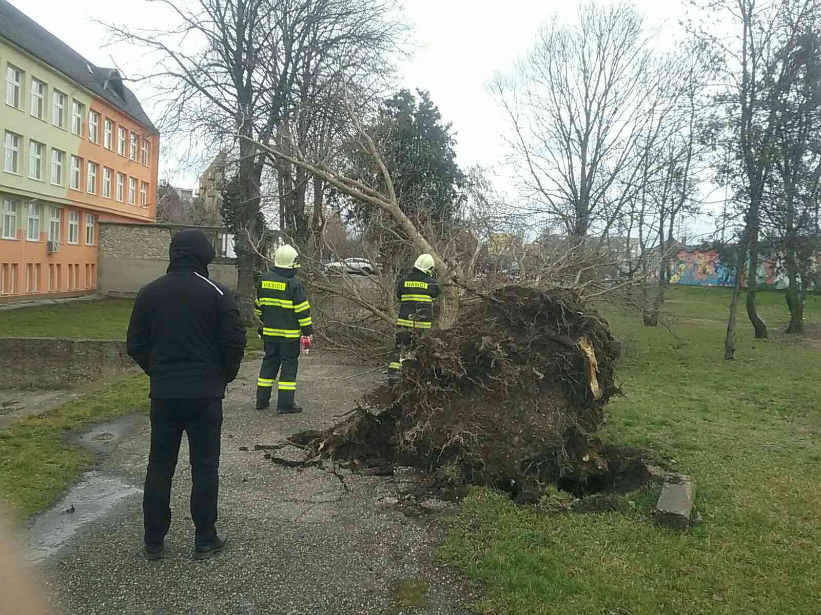 Vyliate potoky, popadané stromy aj poškodené strechy. Hasiči mali pre extrémne počasie desiatky výjazdov