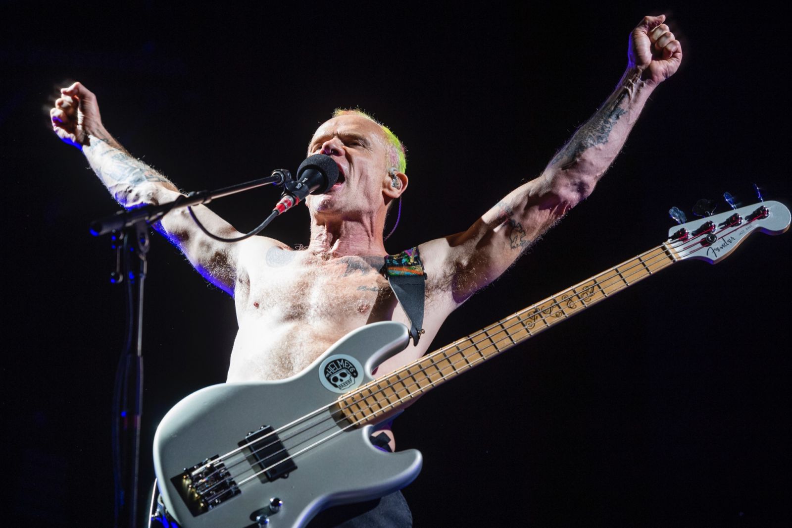 Na snímke basgitarista Flea počas koncertu americkej rockovej skupiny Red Hot Chili Peppers na hudobnom festivale Lovestream 
