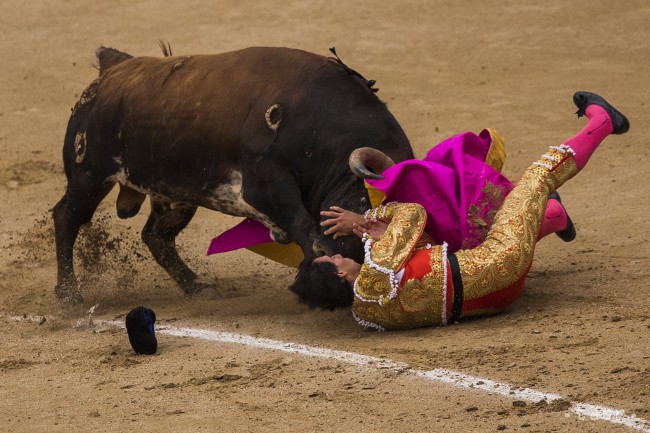 Španielsky toreador David Mora padá na zem po útoku býka z ranča El Ventorrillo počas koridy v najväčšej aréne na svete Plaza de Toros de Las Ventas pre 24.000 divákov v Madride v utorok 20. mája 2014.