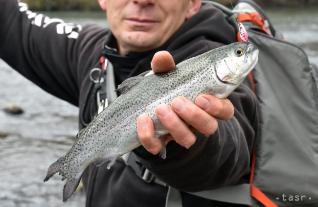 Aj napriek mínusovým teplotám, prišlo do Dlhého nad Cirochou takmer 70 rybárov.