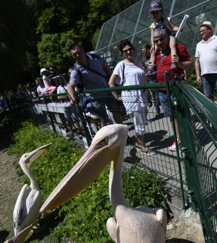 Národná ZOO Bojnice začala 63. letnú turistickú sezónu, 1. mája 2018 v Bojniciach.