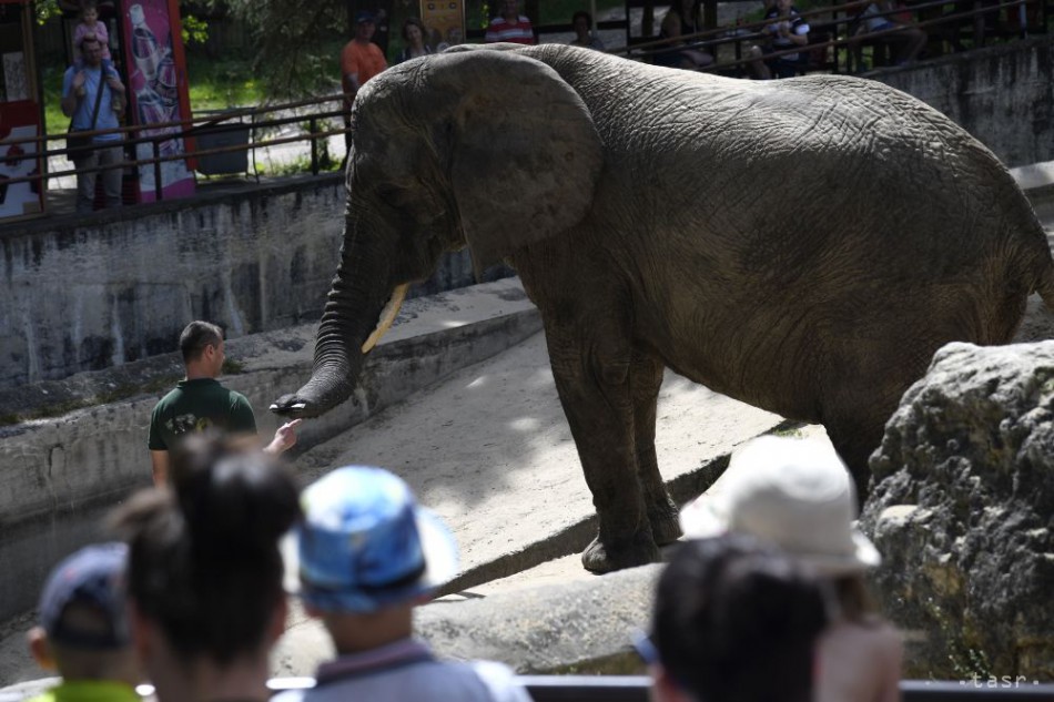 Národná ZOO Bojnice začala 63. letnú turistickú sezónu, 1. mája 2018 v Bojniciach.