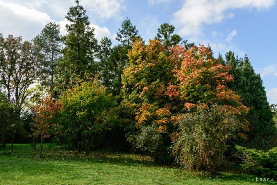 Jeseň v Arboréte Mlyňany