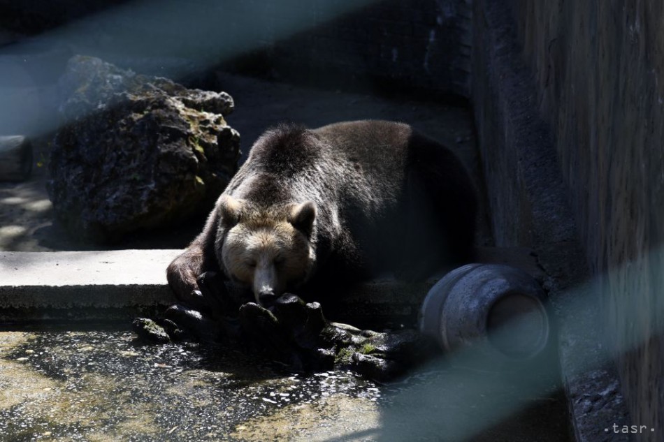 Národná ZOO Bojnice začala 63. letnú turistickú sezónu, 1. mája 2018 v Bojniciach.