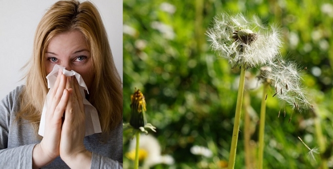 5 spôsobov, ako sa vyhnúť sezónnym alergiám