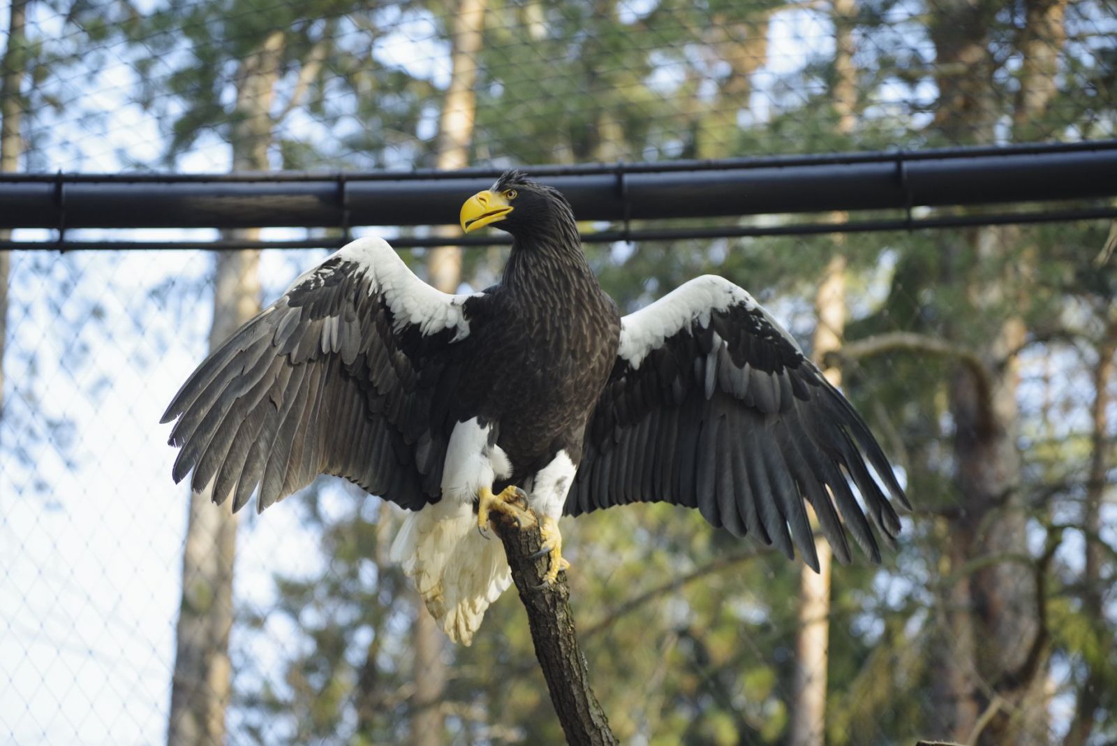 V Národnej zoologickej záhrade v Bojniciach pribudla nová voliéra