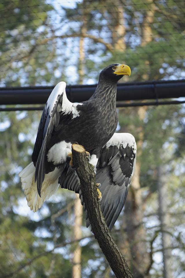 V Národnej zoologickej záhrade v Bojniciach pribudla nová voliéra