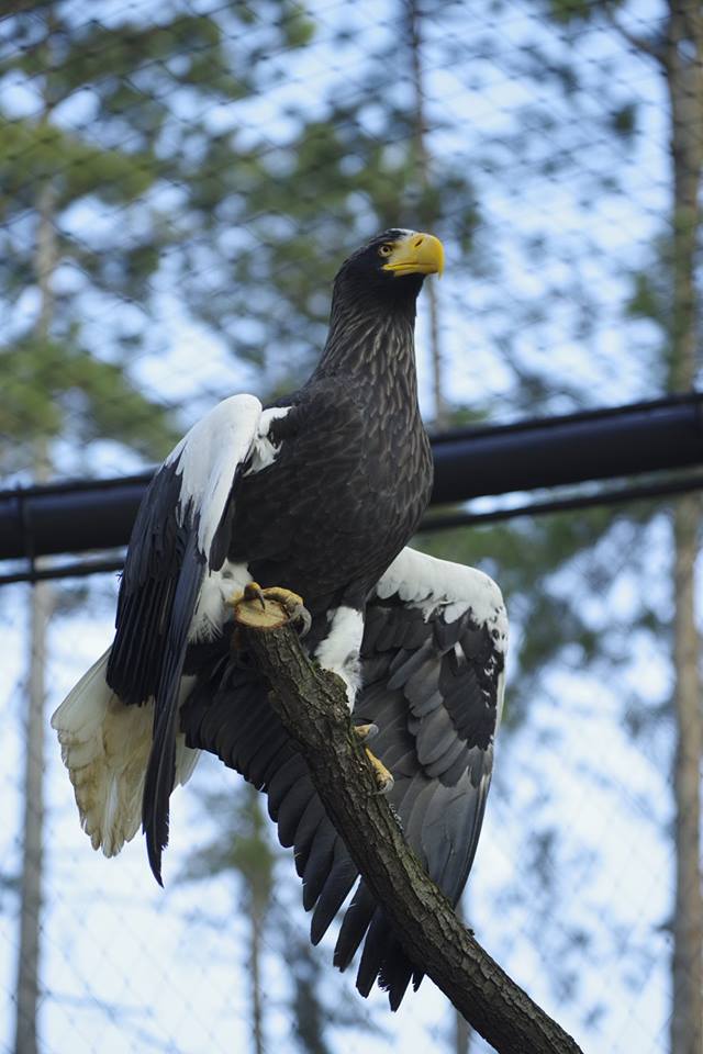 V Národnej zoologickej záhrade v Bojniciach pribudla nová voliéra