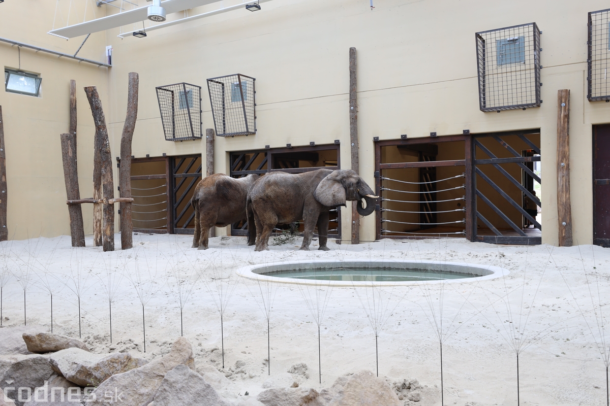 Foto a video: V Zoo Bojnice dnes otvorili nový pavilón pre slony