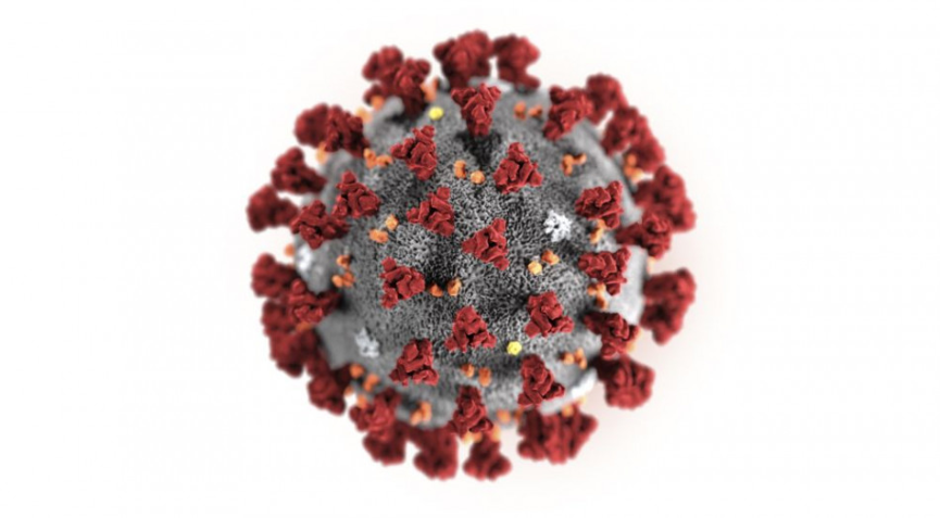 Vedecká štúdia: Nový koronavírus môže prežiť vo vzduchu niekoľko hodín