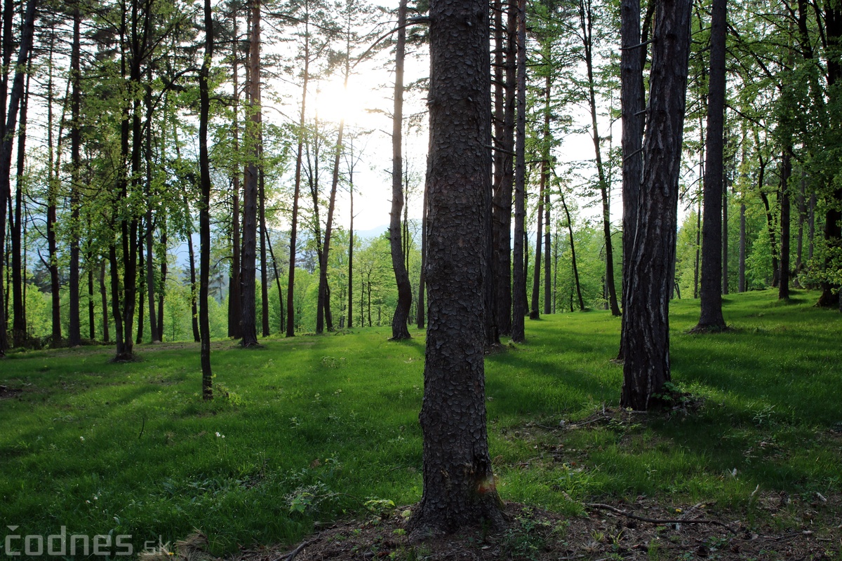 Vyhliadková veža Bojnice