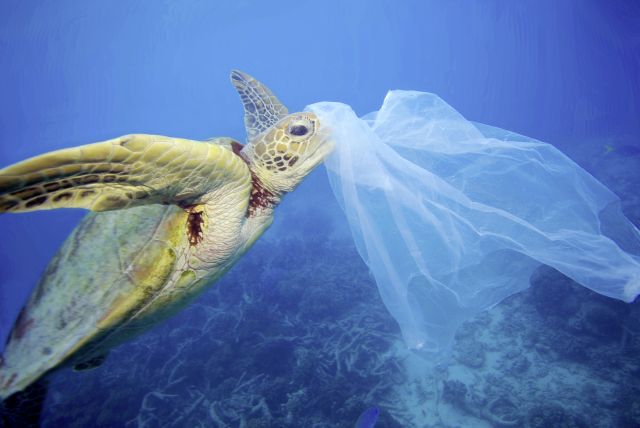 WWF vydáva Správu o stave planéty: Varuje, že drancovaním Zeme ohrozujeme už i vlastnú 