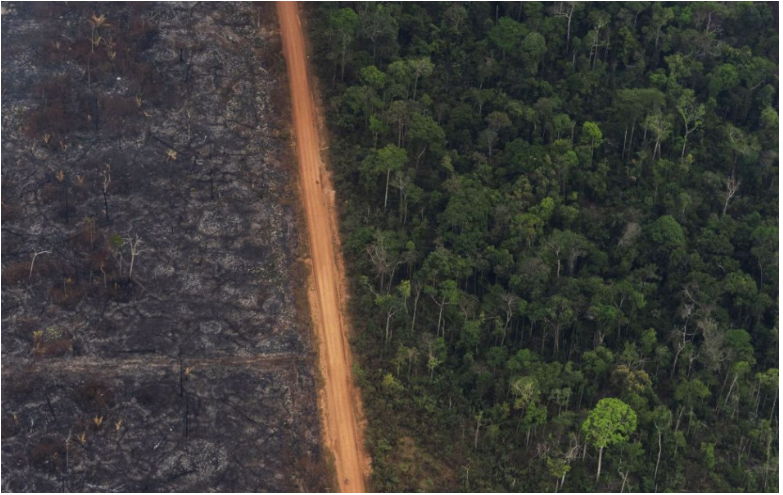 Miera odlesňovania v Amazonskom pralese narástla za rok o 22 percent
