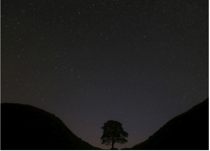 Asteroid nesie meno po P. O. Hviezdoslavovi