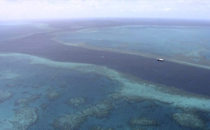 Vedci môžu zachrániť koralové útesy, vyšiel im pokus s bielením oblakov