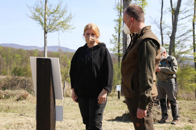 Prezidentka Zuzana Čaputová spolu so zamestnancami prezidentskej kancelárie v lese zasadila 1 650 stromov (foto)