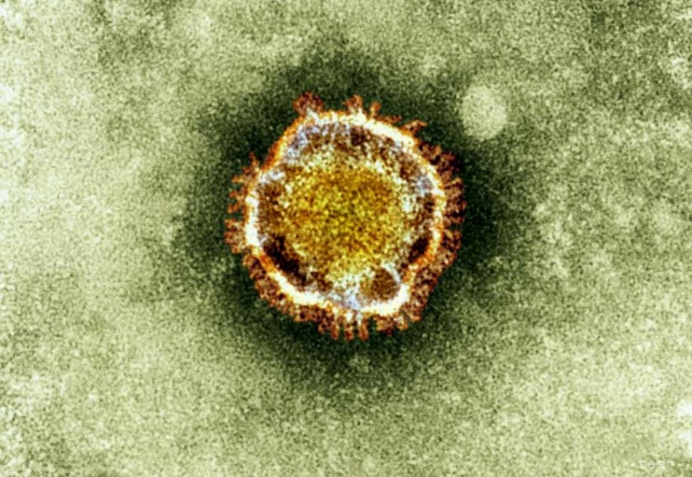Koronavírus príznaky: Experti našli ďalší príznak koronavírusu: Spoznáte ho jednoducho