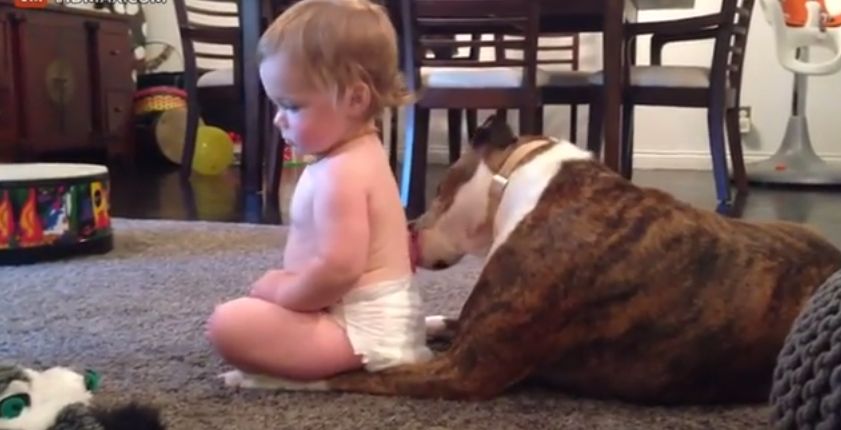 Video: Ako psík oblizovaním čistí dieťatko