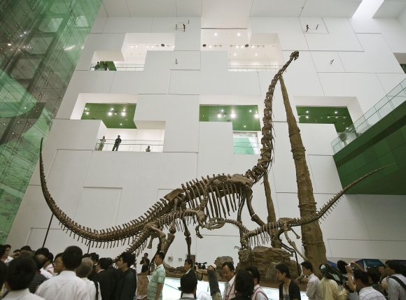 Vydražili kostru 17-metrového dinosaura