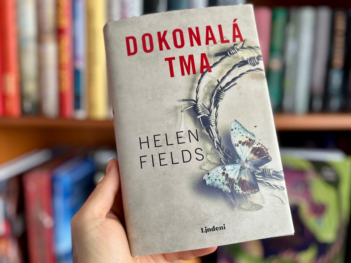Keď sa zločin skrýva v tieni medzi Škótskom a Francúzskom. Krimi Dokonalá tma