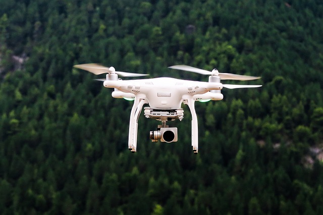 Drony stresujú živočíchy v prírode, ochranári sa preto podieľali na vývoji aplikácie pre ich užívateľov