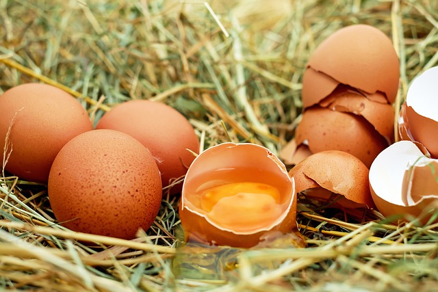 Radíme: Surovú hydinu a vajcia treba pripravovať mimo iných potravín