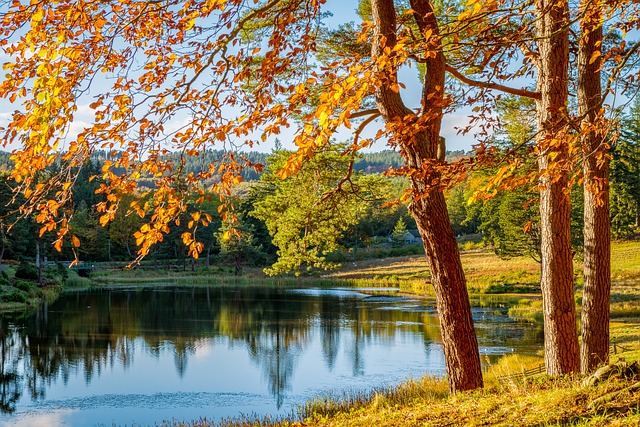 Cez víkend sa počasie prechodne zhorší, budúci týždeň sa má znova otepliť