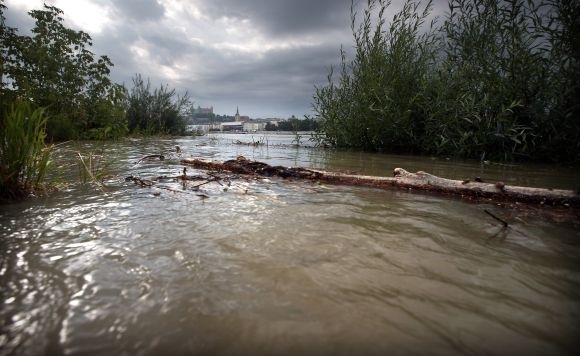 Petíciu za záchranu vnútrozemskej delty Dunaja už podpísali tisíce ľudí, ochranári požadujú zvýšenie prietoku vody