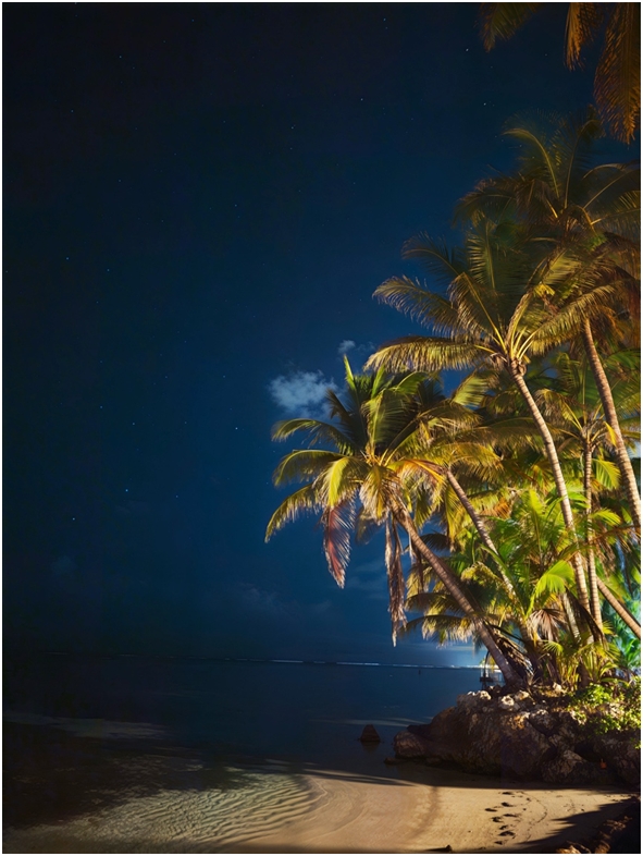 Nočná mágia s HONOR Magic8 Pro