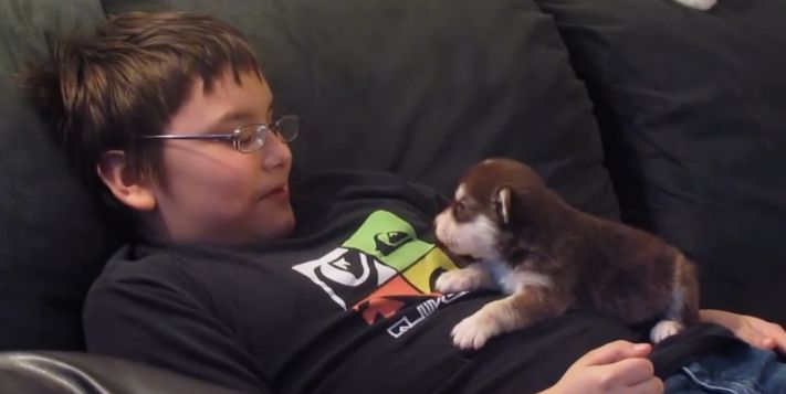 Video: 20 dňový pes Husky sa učí zavýjať