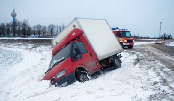 Marcová kalamita na Slovensku