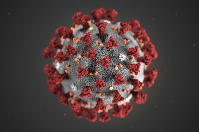 Zistili, kedy vznikla najstaršia mutácia koronavírusu. Pandémia sa v Európe ticho šírila bez povšimnutia