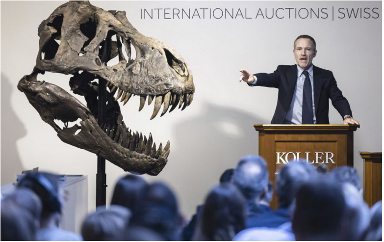 Kostru Tyranosaura rexa vydražili vo Švajčiarsku za 5,63 milióna eur