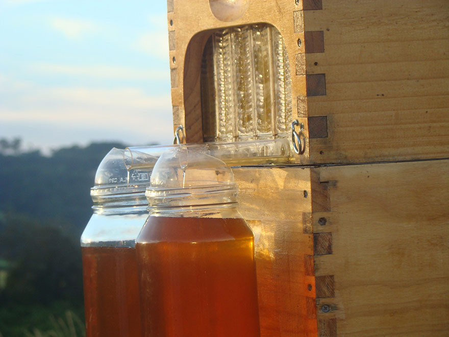 Šikovný vynález: zbiera med priamo do fľiaš a nevyrušuje pri tom včely