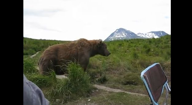 Video: Muž si fotil pri rieke, a zrazu sa pri ňom objavil veľký medveď