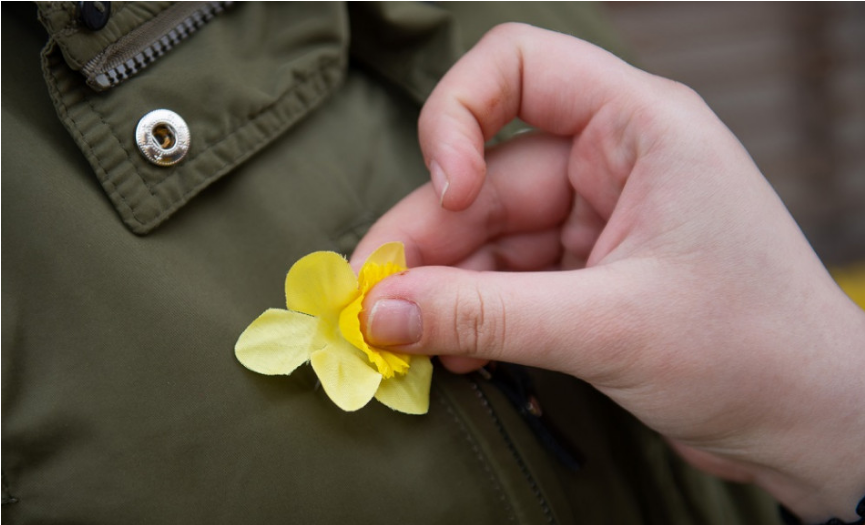 Deň narcisov: Žltý kvet je symbol solidarity s onkologickými pacietami