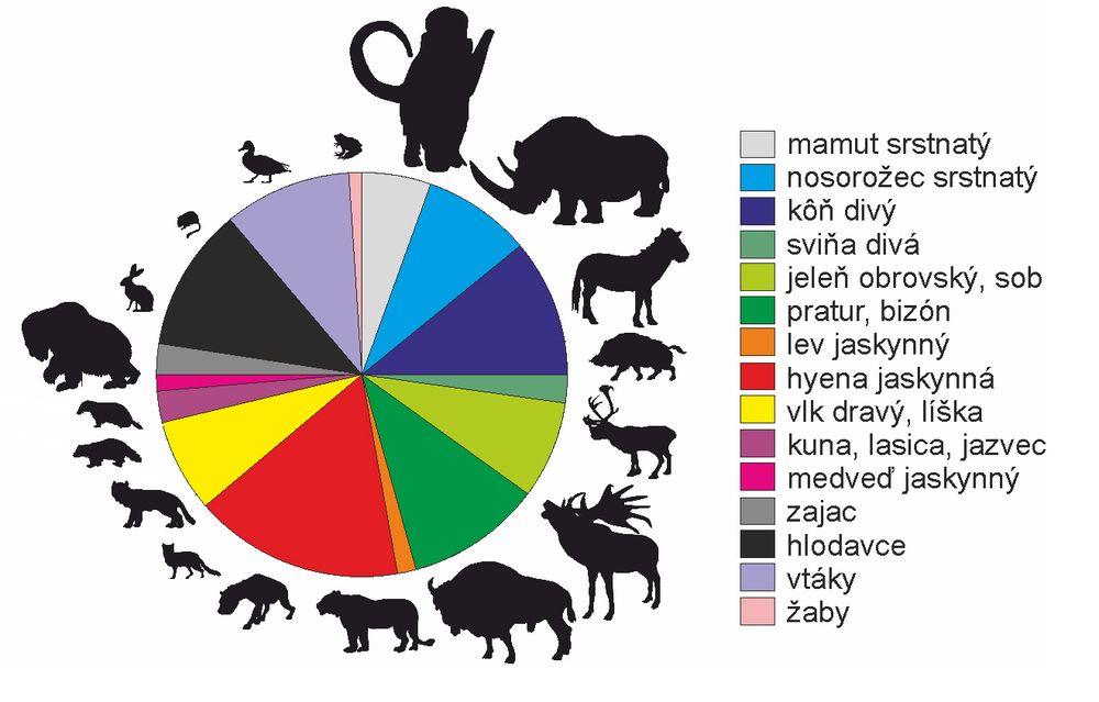 Graf znázorňujúci celkový počet nájdených kostí zvierat_autor_Tomáš Čeklovský_UK