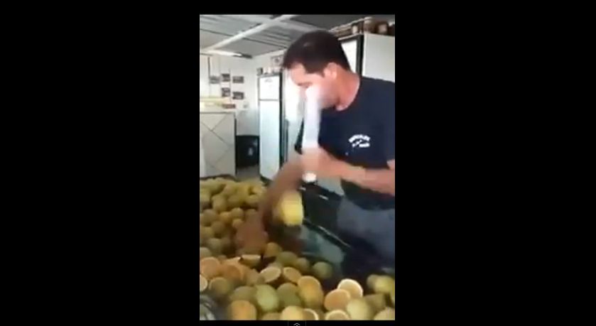 Video: Skutočný citrónový Nindža