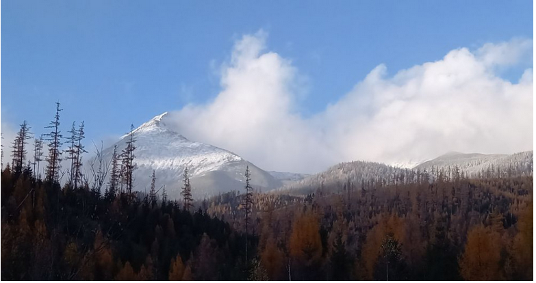 VEĽKÁ PREDPOVEĎ POČASIA: V novembri už môže udrieť ozajstná zima