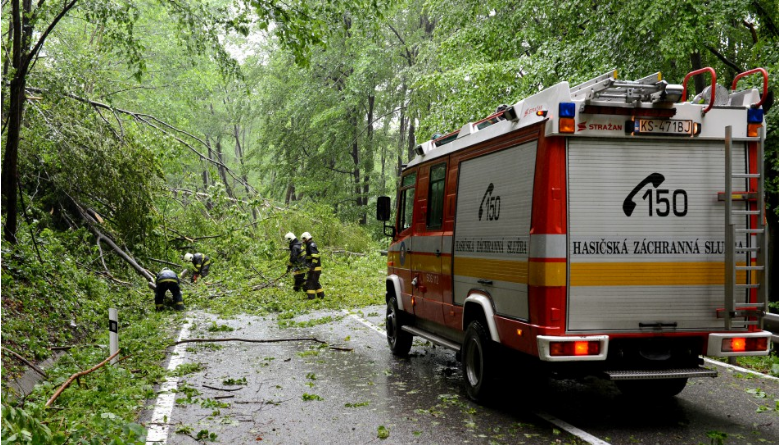 Situáciu na cestách komplikuje vietor, na D2 za Malackami spadol strom