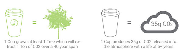 Video: Biologicky rozložiteľné poháre na kávu, ktoré ked zasadíte, vyrastie z nich strom