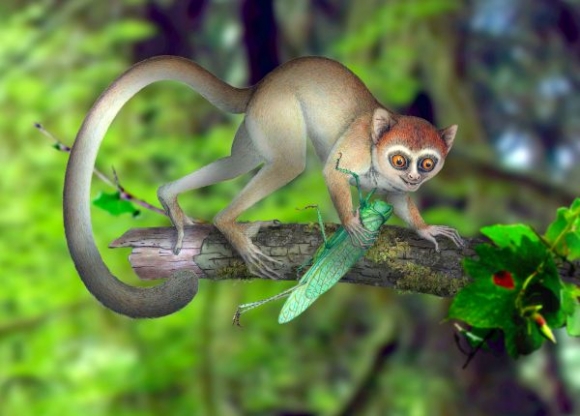V Číne objavili pozostatky najstaršieho primáta na svete.Archívne foto: SITA/AP