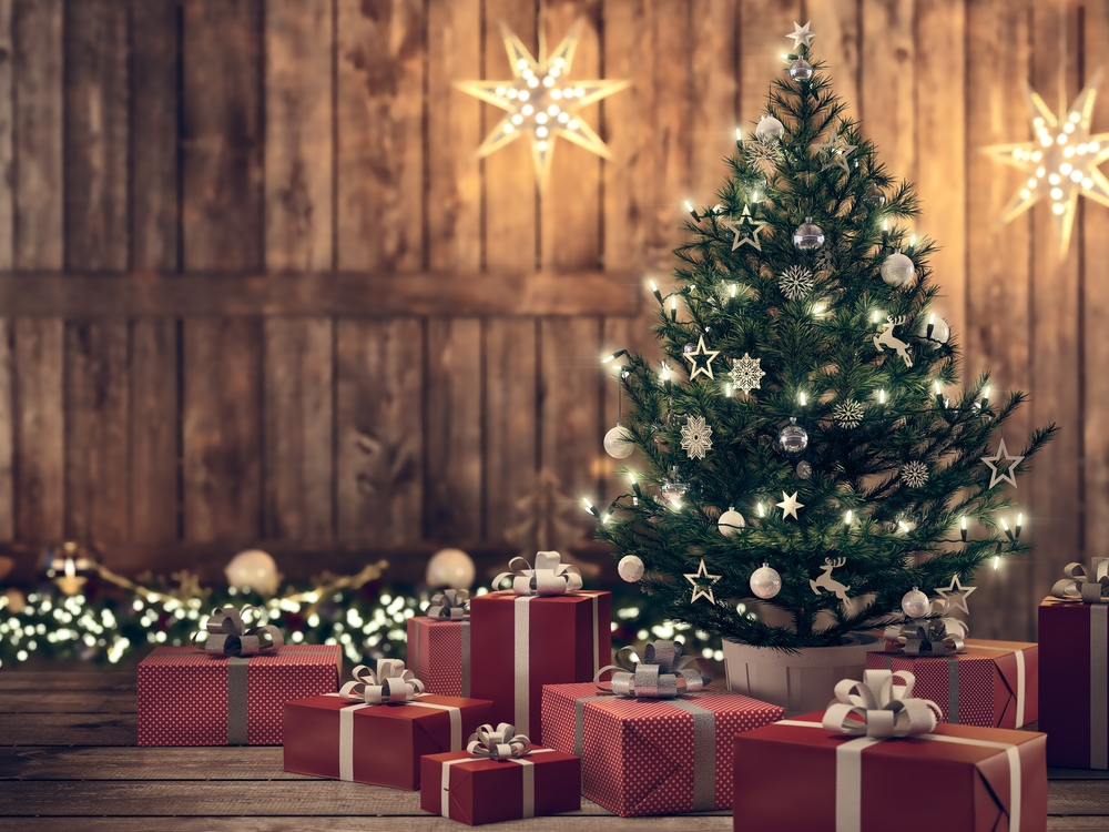 Vianoce bez stromčeka? To určite nie! Poradíme vám, ako vybrať najkrajšiu ozdobu Vianoc