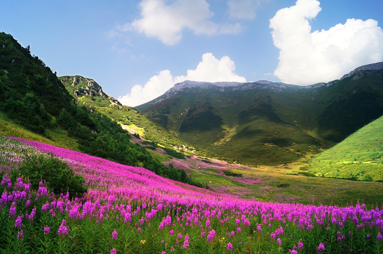 Vysoké Tatry pomaly ožívajú. Nikto však netuší, aká úspešná bude letná sezóna