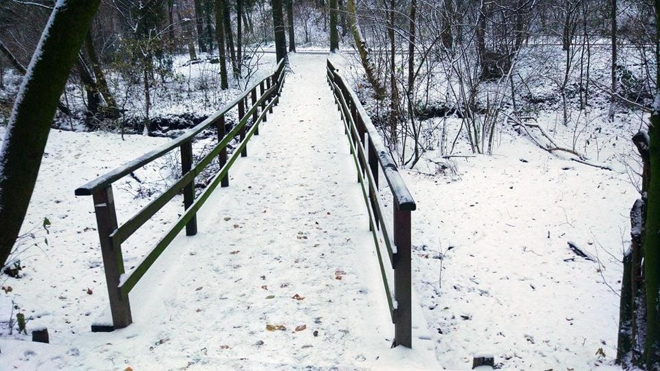 Na Slovensko začne prúdiť chladný vzduch, bude snežiť i mrznúť