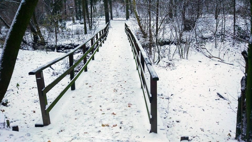 VEĽKÁ PREDPOVEĎ POČASIA: Snehu je čoraz menej. Udrží sa?