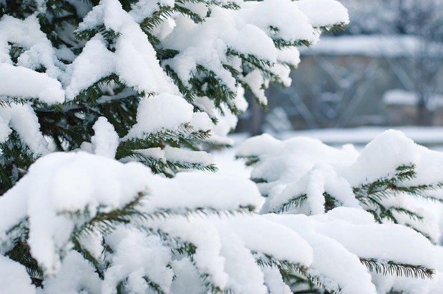 V Česku riadne fúka, popadali aj vianočné stromčeky
